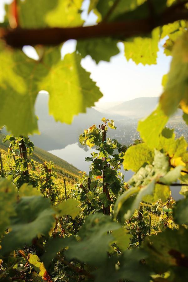 Wein Und Gastehaus Huls Hotel Kröv Buitenkant foto