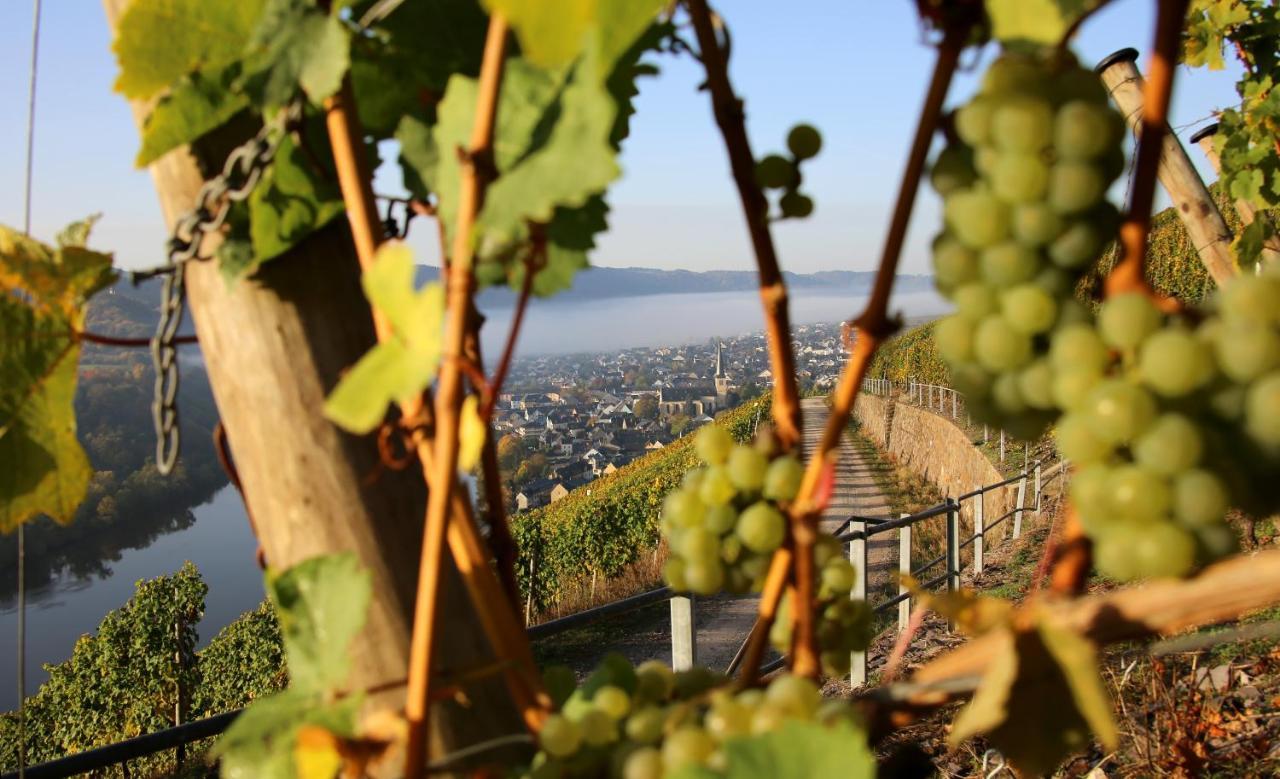 Wein Und Gastehaus Huls Hotel Kröv Buitenkant foto